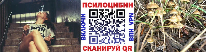 Галлюциногенные грибы Magic Shrooms Буинск